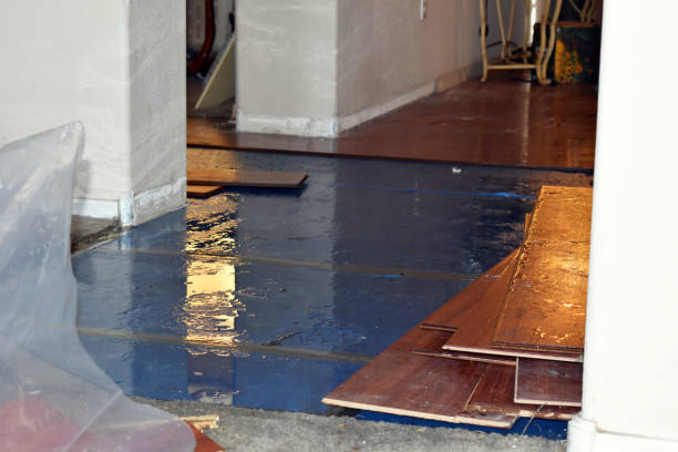 Professional Basement Flood Cleanup technician working in Le Roy, MN